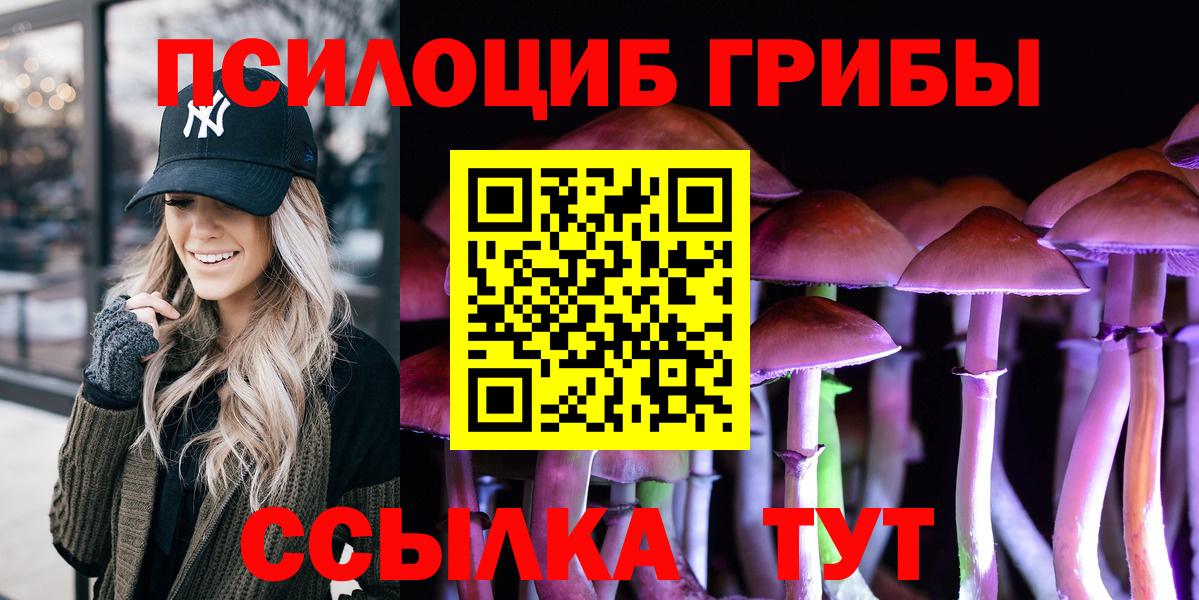Галлюциногенные грибы Psilocybine cubensis Дивногорск